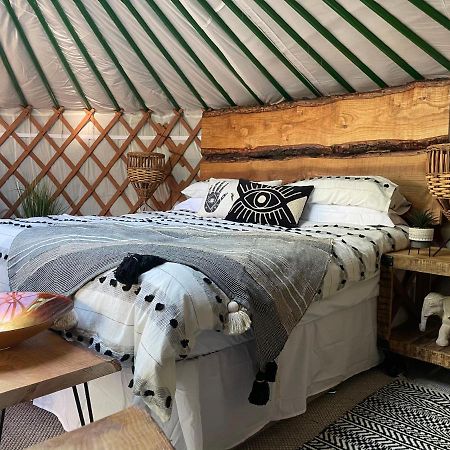 O Dan Y Coed Luxury Yurt With Hot Tub Hotel Chwilog Esterno foto